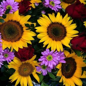 Meet your Posher, Mariah